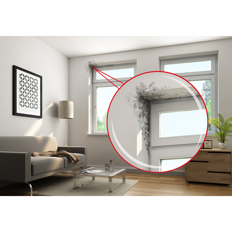 ill-p022-0419-schimmel-entferner-20240305020002_0e607b588a58047d