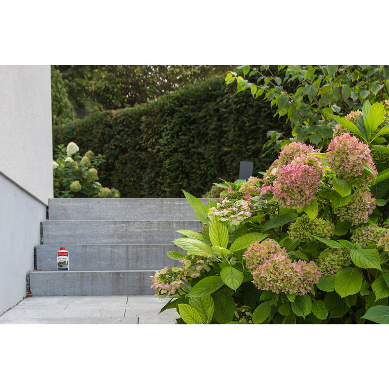 asb-4004666001469-vn1-01-01-de-stein-und-platten-impraegnierung-1-0-l-20250606020002_33830d65c23a5cd0