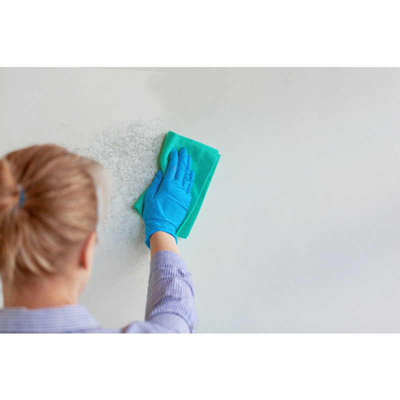 aaw-0721-01-innen-wohnraum-schimmel-20240313020001_a99f80492fe86179